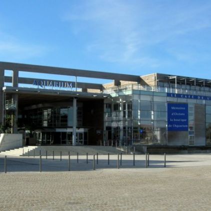 Profitez de votre séjour au camping pour visiter l'aquarium de La Rochelle