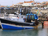 La Cotinière, Île d'Oléron