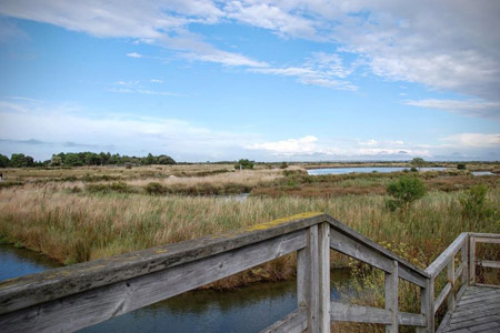 Où peut-on visiter les marais salants sur l'île d'Oléron ?